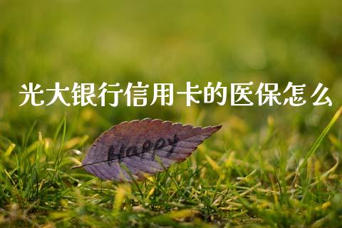 光大银行信用卡的医保怎么_https://wap.kuaijiepai.net_财务风控_第1张