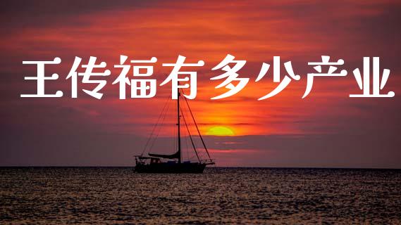 王传福有多少产业_https://wap.kuaijiepai.net_金融科技_第1张