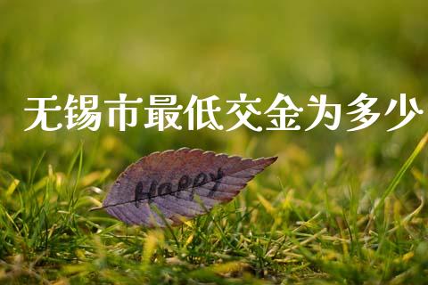 无锡市最低交金为多少_https://wap.kuaijiepai.net_金融科技_第1张