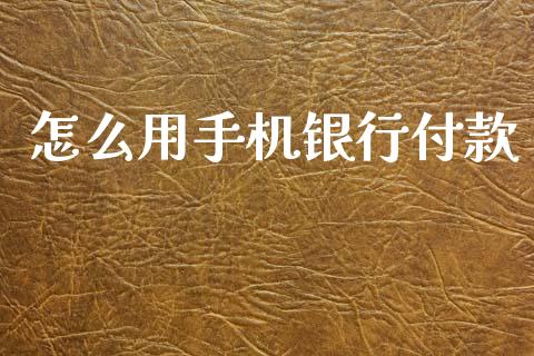 怎么用手机银行付款_https://wap.kuaijiepai.net_金融科技_第1张