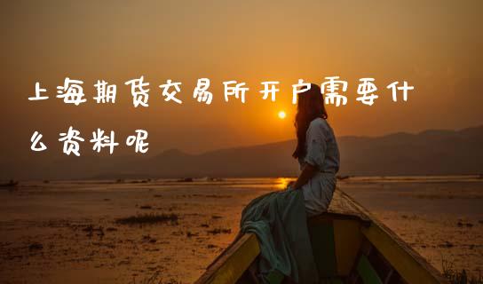 上海期货交易所开户需要什么资料呢_https://wap.kuaijiepai.net_外汇交易_第1张