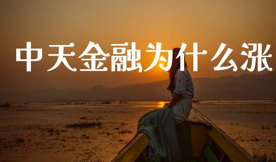 中天金融为什么涨_https://wap.kuaijiepai.net_财务风控_第1张