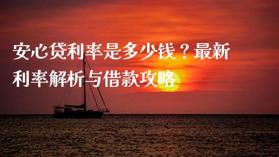 安心贷利率是多少钱？最新利率解析与借款攻略_https://wap.kuaijiepai.net_财务风控_第1张