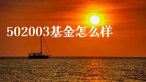502003基金怎么样_https://wap.kuaijiepai.net_外汇交易_第1张