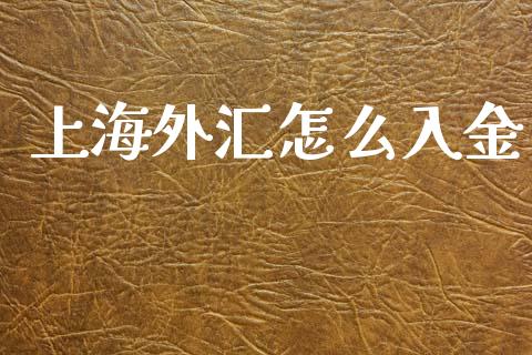 上海外汇怎么入金_https://wap.kuaijiepai.net_金融科技_第1张