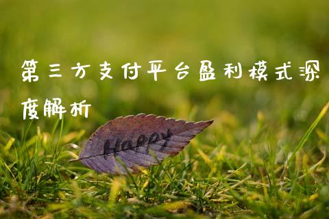 第三方支付平台盈利模式深度解析_https://wap.kuaijiepai.net_财务风控_第1张