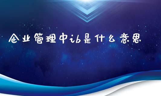 企业管理中ib是什么意思_https://wap.kuaijiepai.net_金融科技_第1张