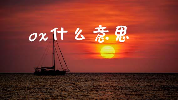 ox什么意思_https://wap.kuaijiepai.net_财务风控_第1张