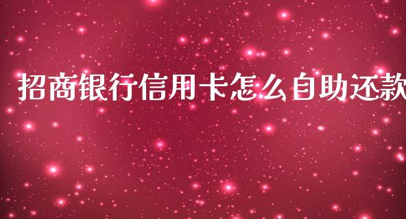 招商银行信用卡怎么自助还款_https://wap.kuaijiepai.net_财务咨询_第1张