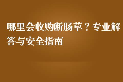 哪里会收购断肠草？专业解答与安全指南_https://wap.kuaijiepai.net_金融科技_第1张