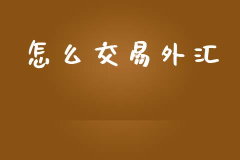 怎么交易外汇_https://wap.kuaijiepai.net_财务风控_第1张