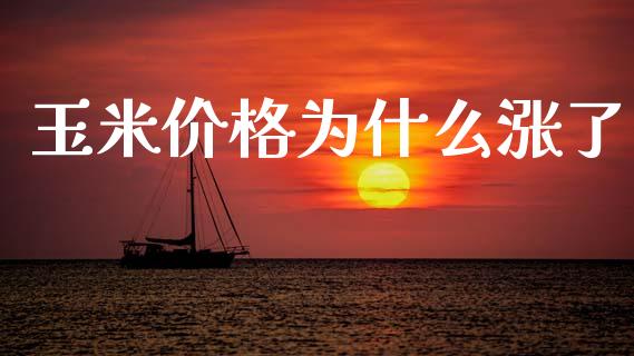 玉米价格为什么涨了_https://wap.kuaijiepai.net_金融科技_第1张