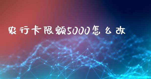 农行卡限额5000怎么改_https://wap.kuaijiepai.net_财务咨询_第1张