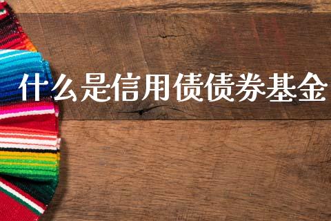 什么是信用债债券基金_https://wap.kuaijiepai.net_外汇交易_第1张