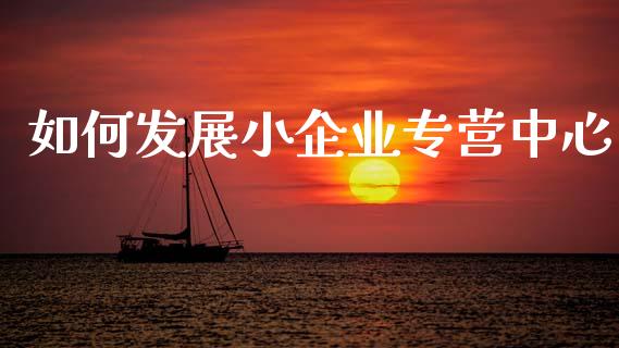 如何发展小企业专营中心_https://wap.kuaijiepai.net_财务风控_第1张