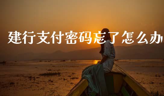 建行支付密码忘了怎么办_https://wap.kuaijiepai.net_财务咨询_第1张