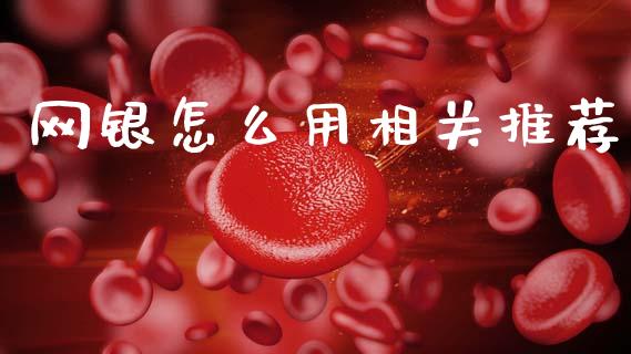 网银怎么用相关推荐_https://wap.kuaijiepai.net_外汇交易_第1张
