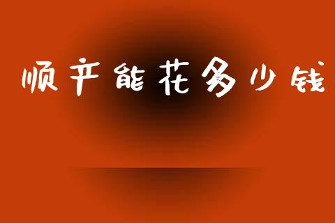 顺产能花多少钱_https://wap.kuaijiepai.net_金融科技_第1张