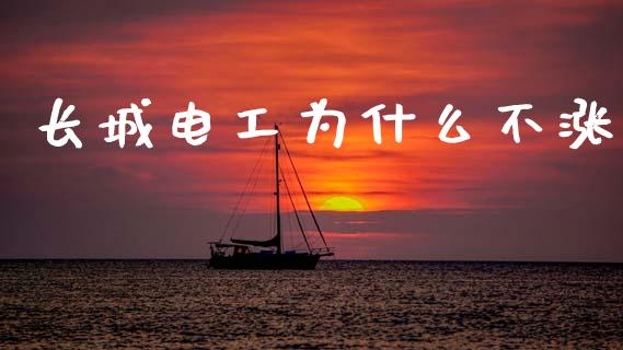 长城电工为什么不涨_https://wap.kuaijiepai.net_外汇交易_第1张