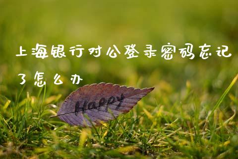 上海银行对公登录密码忘记了怎么办_https://wap.kuaijiepai.net_外汇交易_第1张