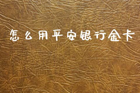 怎么用平安银行金卡_https://wap.kuaijiepai.net_财务风控_第1张