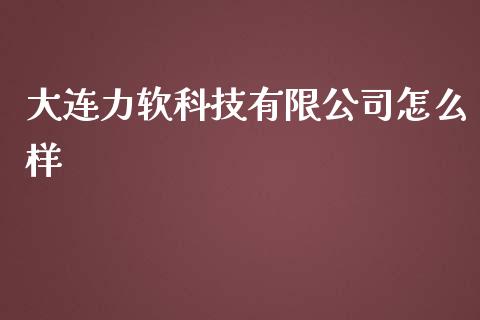 大连力软科技有限公司怎么样_https://wap.kuaijiepai.net_财务风控_第1张
