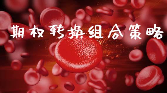 期权转换组合策略_https://wap.kuaijiepai.net_财务咨询_第1张