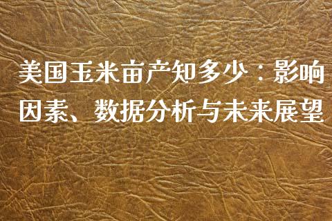 美国玉米亩产知多少：影响因素、数据分析与未来展望_https://wap.kuaijiepai.net_财务咨询_第1张