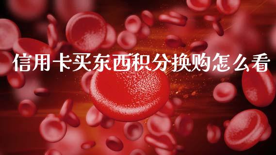 信用卡买东西积分换购怎么看_https://wap.kuaijiepai.net_财务风控_第1张