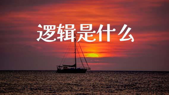 逻辑是什么_https://wap.kuaijiepai.net_财务风控_第1张