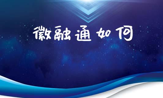 徽融通如何_https://wap.kuaijiepai.net_财务风控_第1张