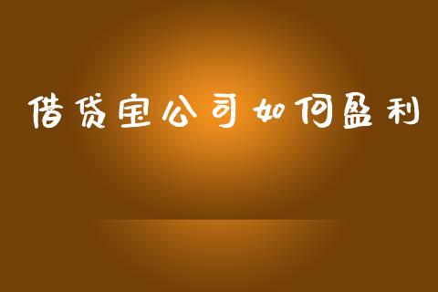 借贷宝公司如何盈利_https://wap.kuaijiepai.net_财务风控_第1张