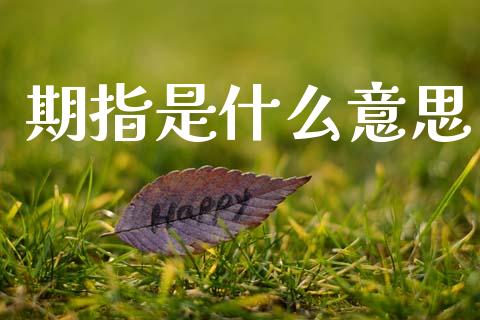 期指是什么意思_https://wap.kuaijiepai.net_外汇交易_第1张