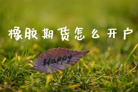 橡胶期货怎么开户_https://wap.kuaijiepai.net_金融科技_第1张