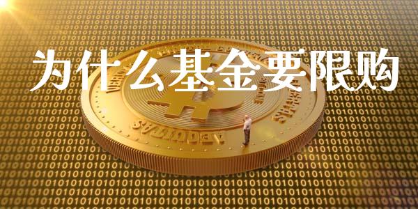 为什么基金要限购_https://wap.kuaijiepai.net_外汇交易_第1张