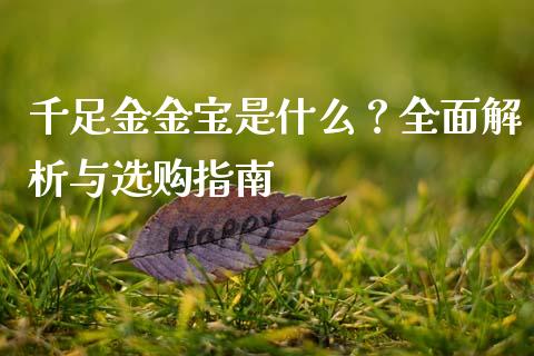 千足金金宝是什么？全面解析与选购指南_https://wap.kuaijiepai.net_金融科技_第1张