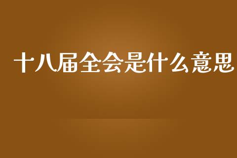十八届全会是什么意思_https://wap.kuaijiepai.net_金融科技_第1张