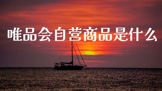 唯品会自营商品是什么_https://wap.kuaijiepai.net_金融科技_第1张