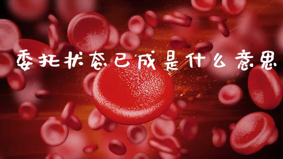 委托状态已成是什么意思_https://wap.kuaijiepai.net_外汇交易_第1张