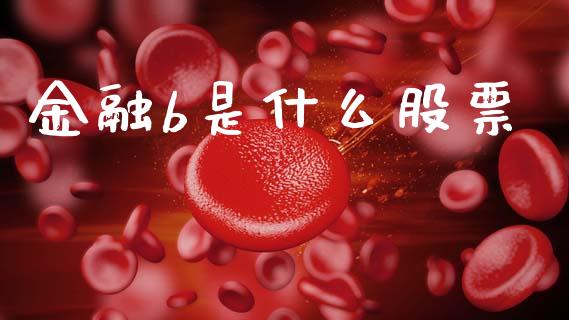 金融b是什么股票_https://wap.kuaijiepai.net_外汇交易_第1张