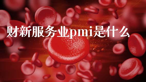 财新服务业pmi是什么_https://wap.kuaijiepai.net_外汇交易_第1张
