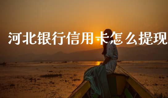 河北银行信用卡怎么提现_https://wap.kuaijiepai.net_财务咨询_第1张