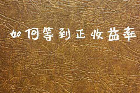如何等到正收益率_https://wap.kuaijiepai.net_财务咨询_第1张
