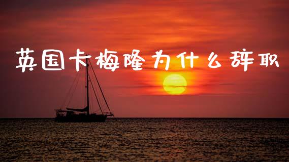 英国卡梅隆为什么辞职_https://wap.kuaijiepai.net_财务风控_第1张