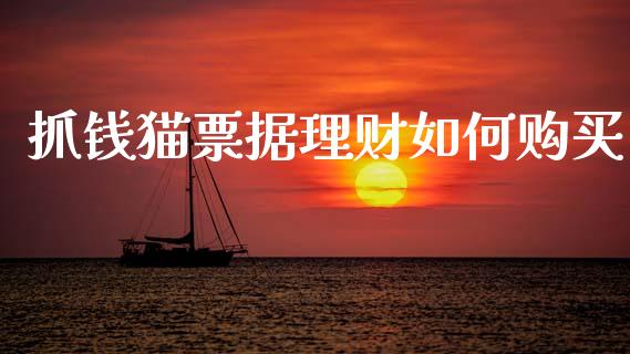 抓钱猫票据理财如何购买_https://wap.kuaijiepai.net_财务风控_第1张