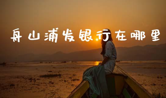 舟山浦发银行在哪里_https://wap.kuaijiepai.net_外汇交易_第1张
