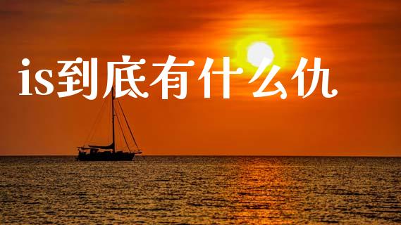 is到底有什么仇_https://wap.kuaijiepai.net_财务风控_第1张