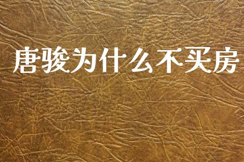 唐骏为什么不买房_https://wap.kuaijiepai.net_财务咨询_第1张