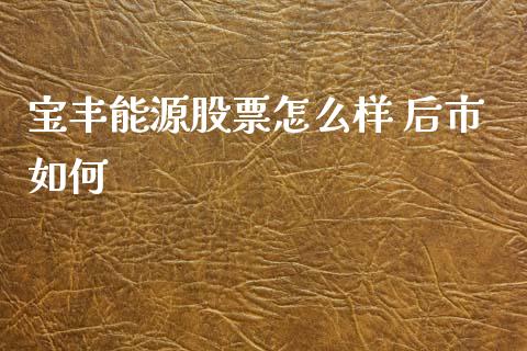 宝丰能源股票怎么样 后市如何_https://wap.kuaijiepai.net_财务风控_第1张