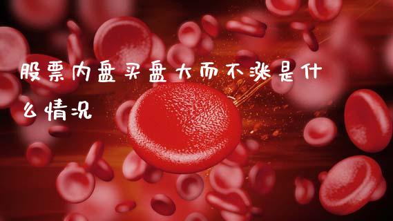 股票内盘买盘大而不涨是什么情况_https://wap.kuaijiepai.net_财务风控_第1张
